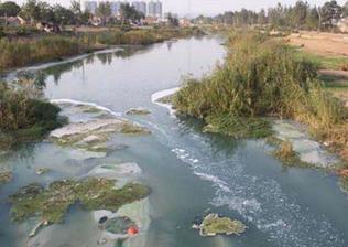 坚决做到发现违法排污立即严查重处