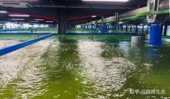 实施最严格水资源管理