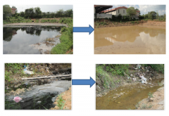 为创建环境友好、可持续