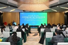 <strong>在政策引导、资源配置、</strong>