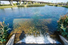 <strong>成立日期2004年10月29日</strong>