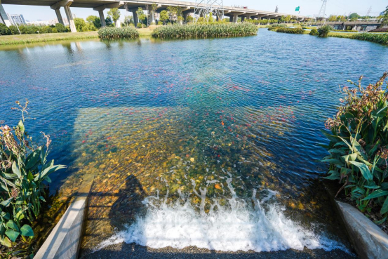 成立日期2004年10月29日