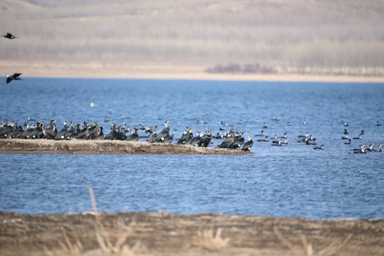 《通知》积极引导矿区生态修复与更高层面的发展战略相结合
