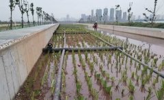 <strong>这些成功案例充分证明了</strong>