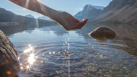网友替她心疼的钱包声音比掌声还大