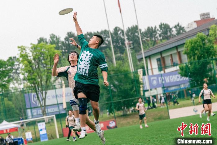 成都世运会团队飞盘分组出炉：中国队与美国、